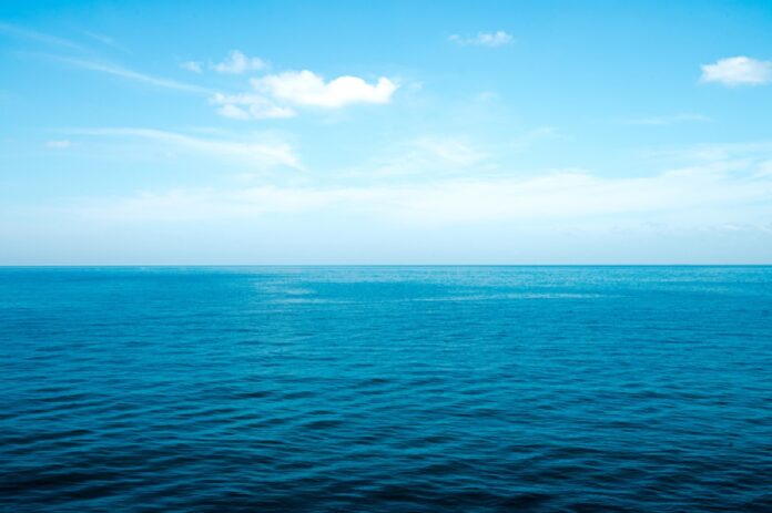 mare