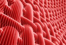 Architettura 3D del DNA essenziale per la rigenerazione dei tessuti
