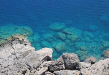Mediterraneo più acido: attenzione agli organismi che costruiscono gusci calcarei