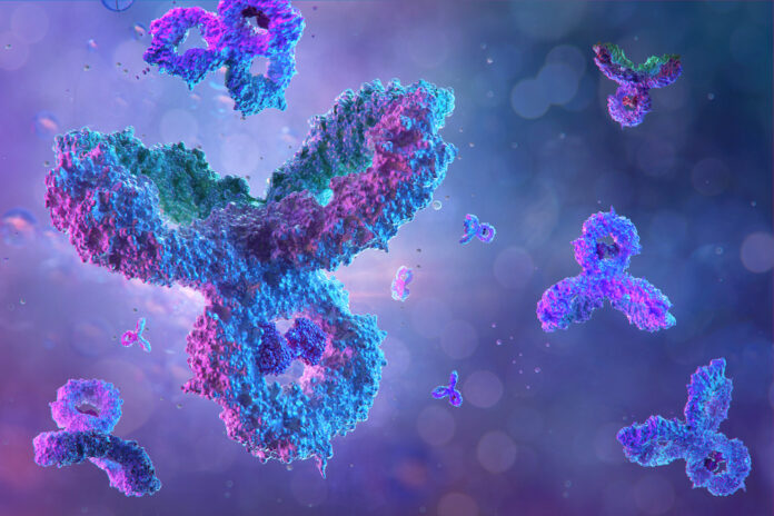 Antibodies,,Immunoglobulin,Ig,Proteins,3d,Medical,Background.,Immune,System,,Igm,