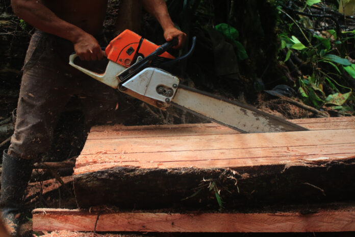 A,Side,View,Of,A,Tree,Trunk,Being,Cut,In
