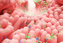 Microbioma: tracce di un’antica storia condivisa fra popolazioni lontane